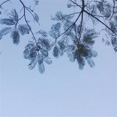 快盈体育app娱乐手机版官网安卓版